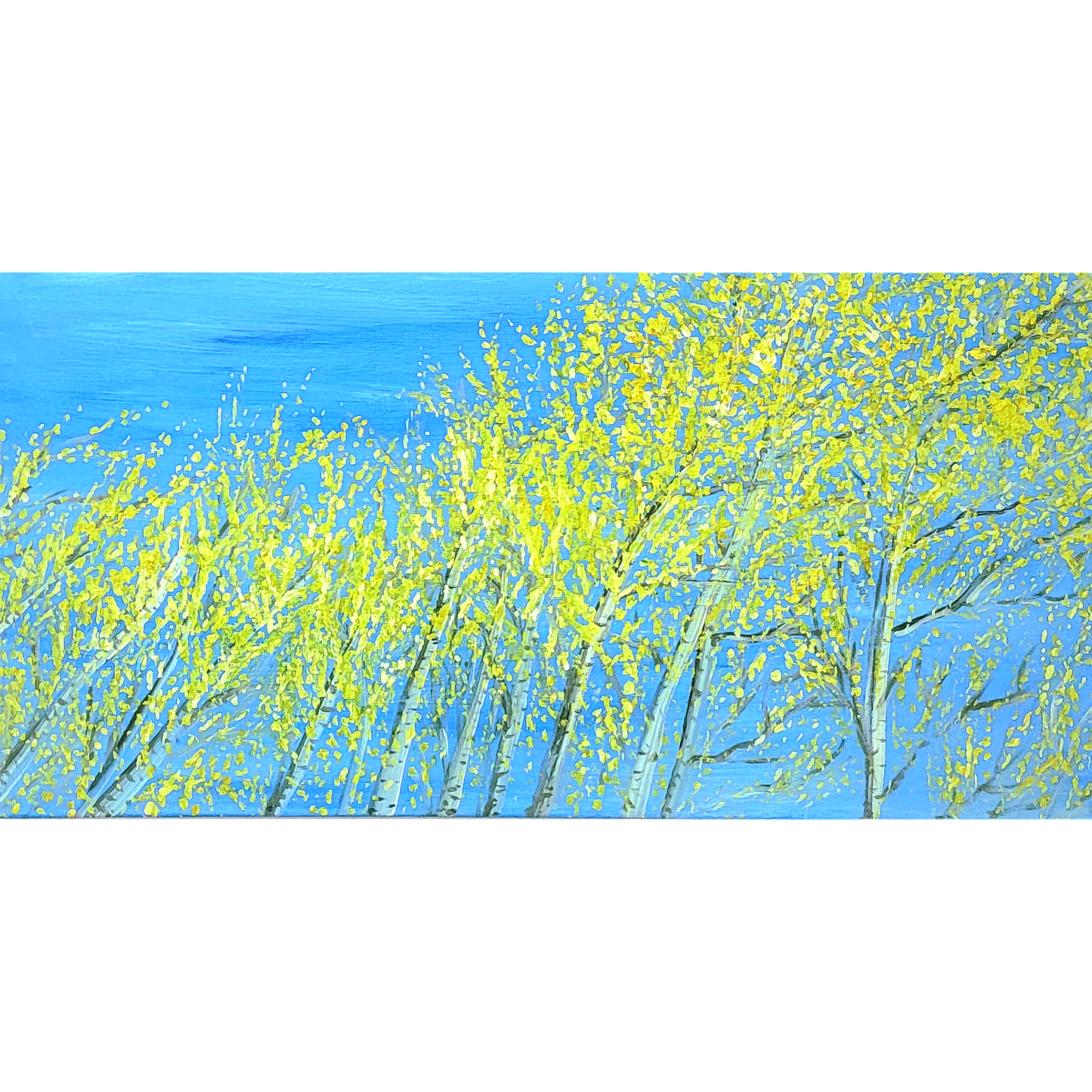 Look And You’ll Find