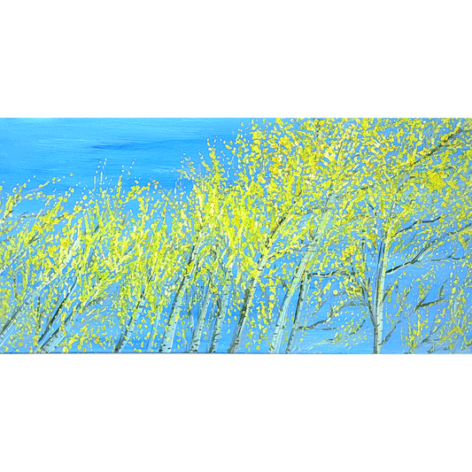 Look And You’ll Find